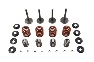 Sifton Nitrate Valve and Spring Kit for 1966-1979 BIG Twins