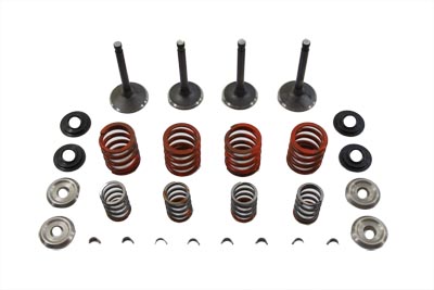 Sifton Nitrate Valve and Spring Kit for 1980-1981 BIG TWIN