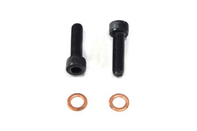 Fork Damper Tube Screw & Washer for 1975-UP Big Twins & Sportster