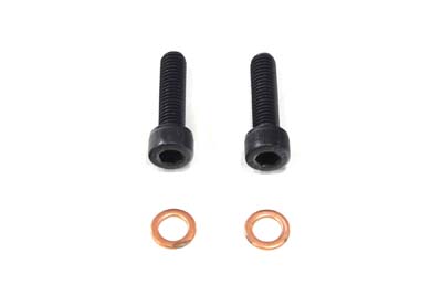 Fork Damper Tube Screw & Washer for 1975-UP Big Twins & Sportster