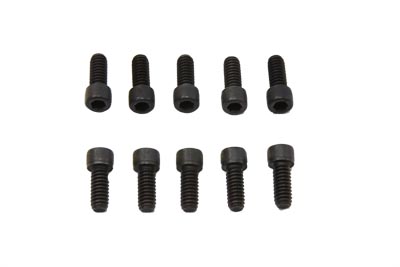 Front Belt Pulley Screw Set for 2007-UP Big Twins - 10 Pack