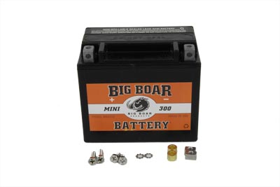 Big Boar Mini 12 Volt 230 Amps Battery for Harley & Customs